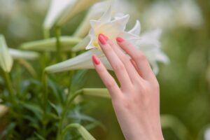 Healthy Nail and hand care